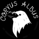 Corvus Albus SRL